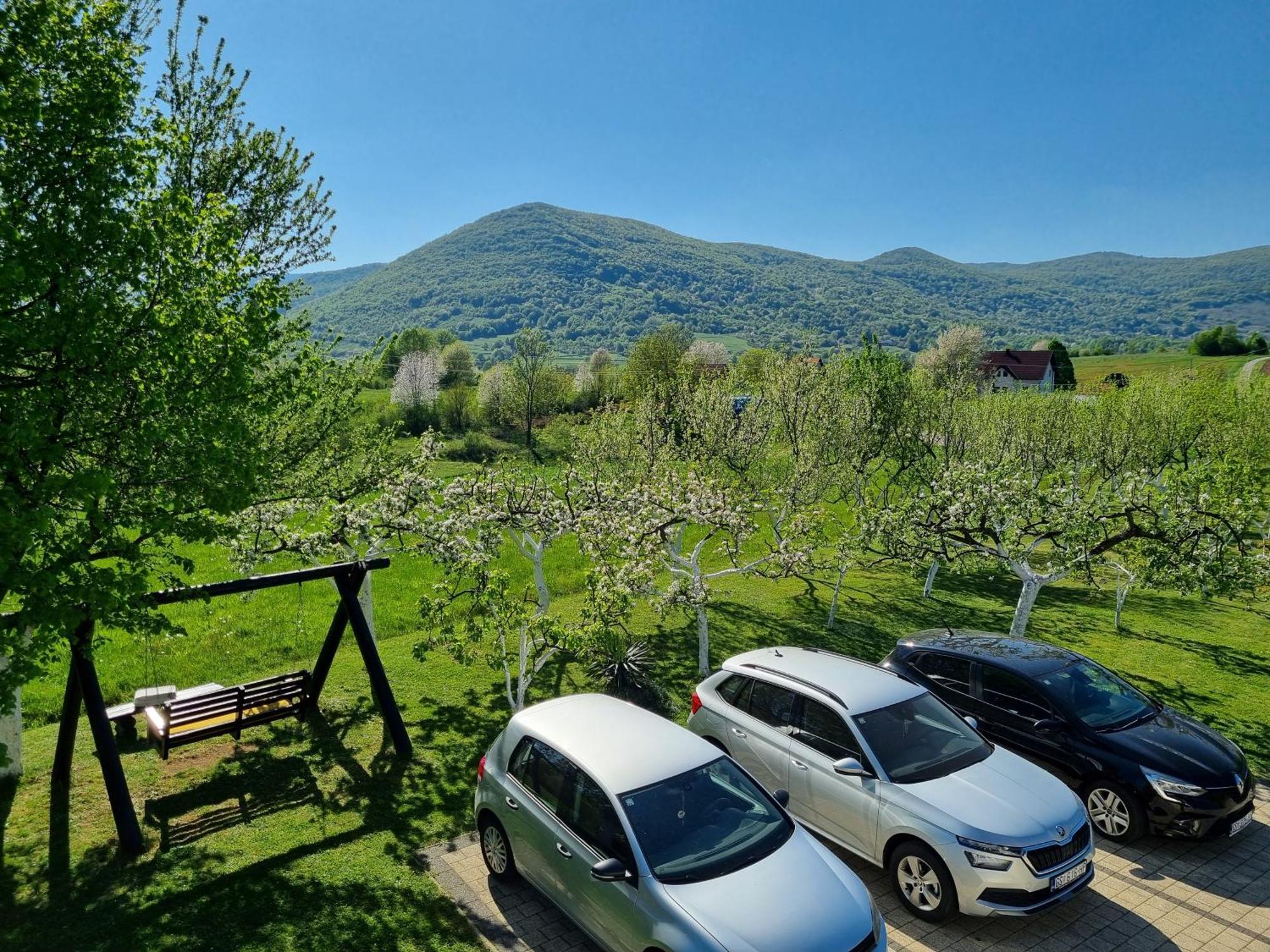 Apartment Rosandic Smoljanac Eksteriør bilde